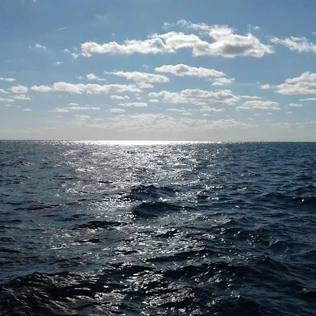 Bay Luxury Gæstehus Anzio